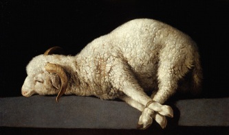 Sacrificial lamb